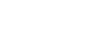 Inclusive Leadership Strategies Logo